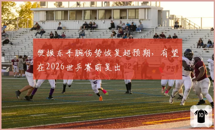 樊振东手腕伤势恢复超预期，有望在2026世乒赛前复出