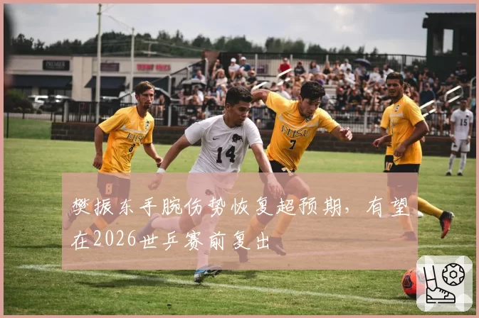 樊振东手腕伤势恢复超预期，有望在2026世乒赛前复出